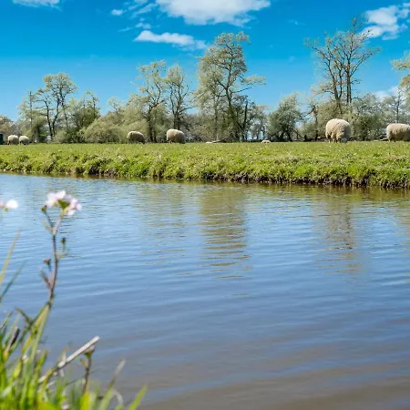 Scenic In Near Forest Vila *
