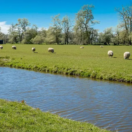 Scenic In Near Forest Alkmaar